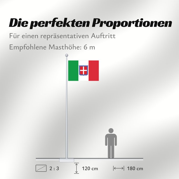 Proportionen der Flagge: Italy 1861–1946 Kingdom of Sardinia 1851-1861 and of the Kingdom of Italy 1861-1946 Royaume de Sardaigne 1851 - 1861 et du Royaume d Italie 1861 - 1946 dans un contexte gouvernemental ou militaire Reino de Italia 1861-1946 Königreich Italiens 1