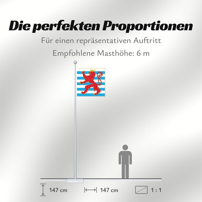 Proportionen der Flagge: Army Colours of Luxembourg Obverse