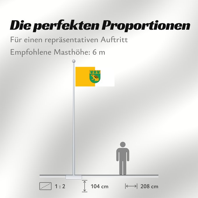Proportionen der Flagge: Baloži City of Baloži, Latvia Baložu pilsētas
