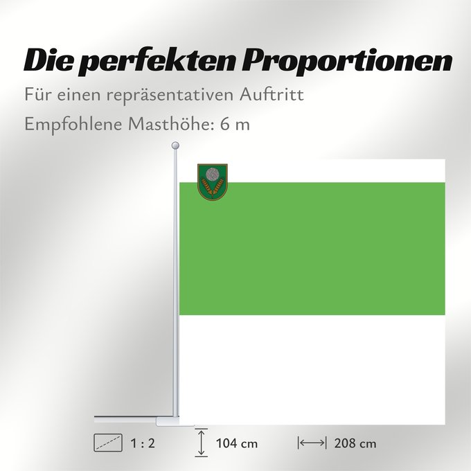 Proportionen der Flagge: Rēzeknes novads	W3C-validity not checked	Rēzeknes Novads	Rēznis nūvoda karūgs	Rēzeknes novada	Флаг Резекненского края