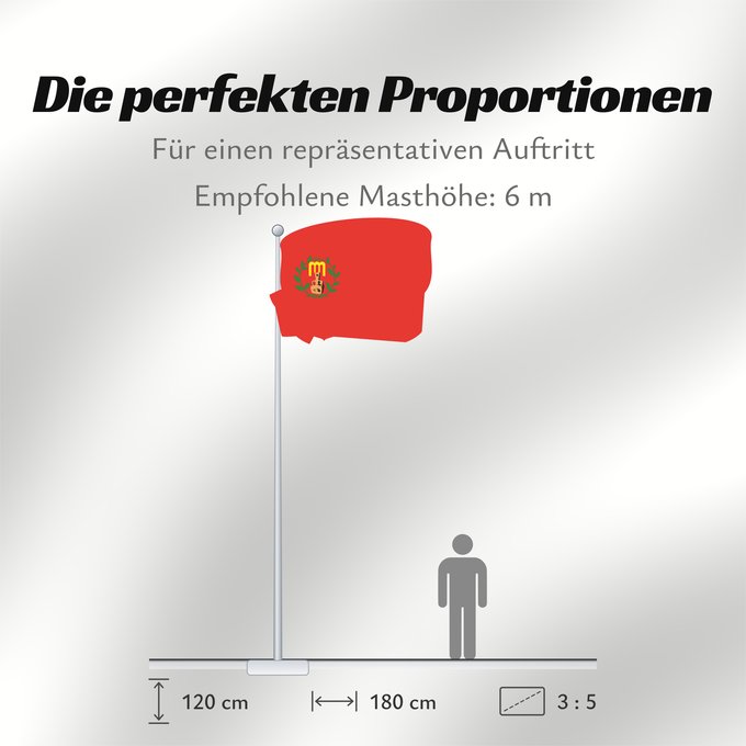 Proportionen der Flagge: Gazi Baba Municipality, North Macedonia Gazi Baba Municipality, Macedonia Municipalité de Gazi Baba Municipio de Gazi Baba Gemeinde Gazi Baba Comune di Gazi Baba Знаме на Општина Гази Баба