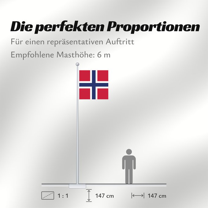 Proportionen der Flagge: Naval Jack of Norway