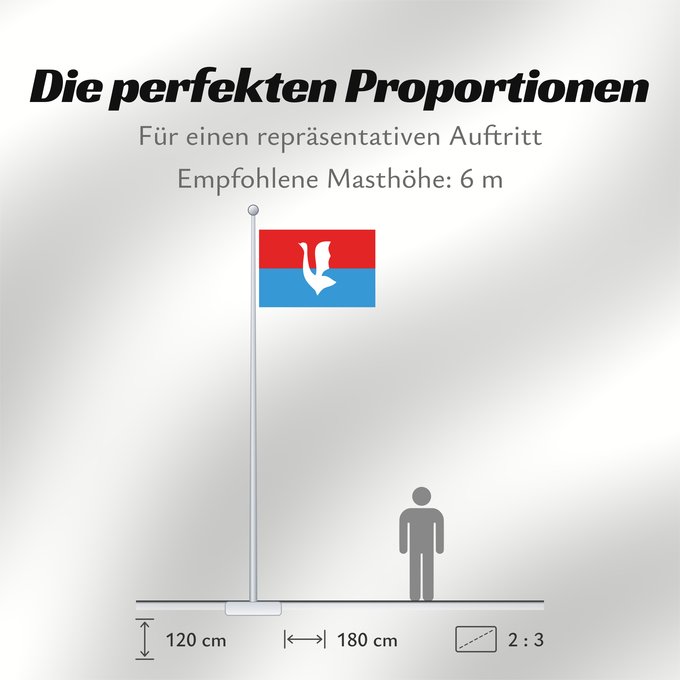 Proportionen der Flagge: Gus-Khrustalny  Vladimir Oblast	Gus-Khrustalny, Vladimir Region, Russia	Gous-Khroustalny (Oblast de Vladimir)	Gus-Jrustalni (Óblast de Vladímir)	Gus-Chrustalny ( Oblast Wladimir)	Gus-Chrustalnyj (Oblast' di Vladimir)	Флаг города Гусь-Хрустальный