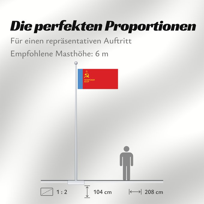 Proportionen der Flagge: Tatar ASSR Tatar ASSR, used 1981-1990 ASSR du Tatarstan (1981-1990) ASSR de Tartaristán (1981-1990) Tatar ASSR (1981-1990) ASSR tatara (1981-1990) Tatarien ASNT n Флаг ТАССР утверждено 1 июня 1981 года смотри флаги Татарии Татар АССР байрагы Прапор Татар