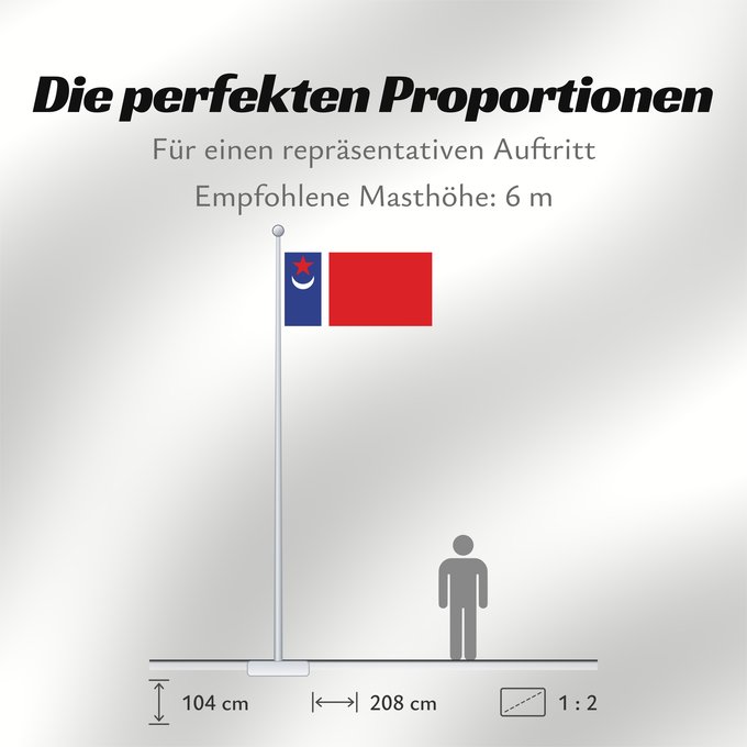 Proportionen der Flagge: Tatarstan 1991 proposal	1991 proposal for the flag of Tatarstan by T	Tatarstan (proposition de 1991)	Tatarstán (propuesta de 1991)	Tatarstan (1991 Entwurf)	Tatarstan (proposta 1991)	Предложенный в 1991 году Т