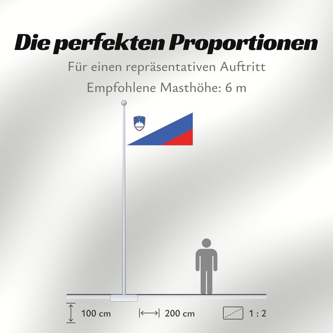 Proportionen der Flagge: Slovenia Flag proposal	Proposed national flag of Slovenia  2003