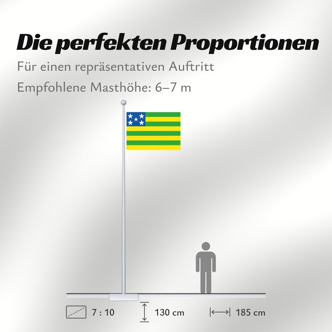 Proportionen der Flagge: Goiás