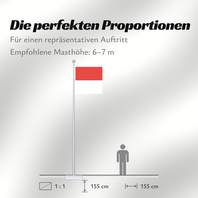 Proportionen der Flagge: Canton of Solothurn	Canton of Solothurn  Switzerland	Soleure	cantón de Soleura	Kanton Solothurn	Soletta	Kanton Solothurn  Swiss
