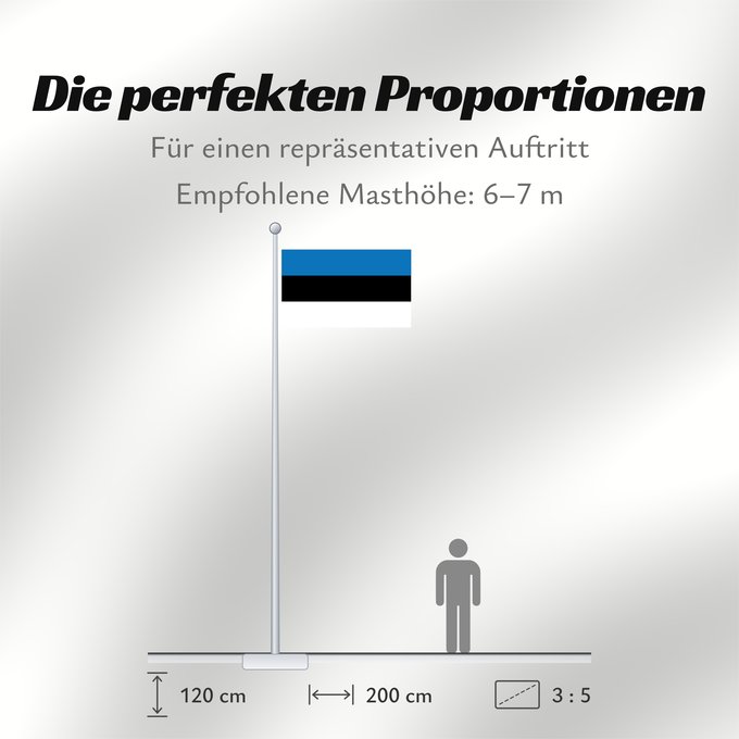 Proportionen der Flagge: Estonia	L Estonie	Estland	Estone	Estónia	Estonii	Сцяг Эстоніі	Национално знаме на Естония	Estonská vlajka	Σημαία της Εσθονίας	Eesti lipp	پرچم کشور استونی	Viron	HEastóine	Észtország	エストニアの国旗	ესტონეთის დროშა	Estijos	Igaunijas	Знаме на Естонија	Estoniei	Флаг