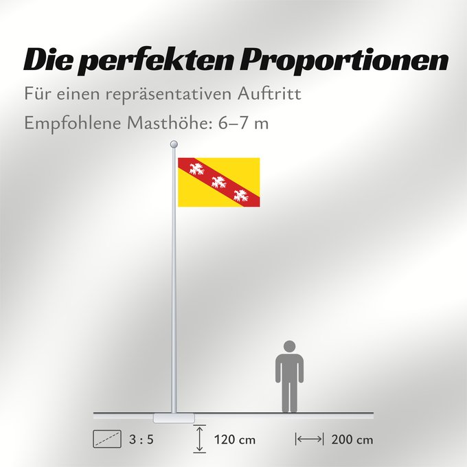 Proportionen der Flagge: Lorraine Region Lorraine in France Région Lorraine en France Lorena Lorena