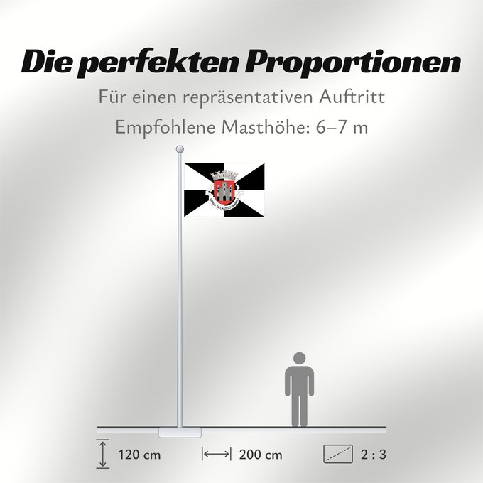 Proportionen der Flagge: Castelo Branco