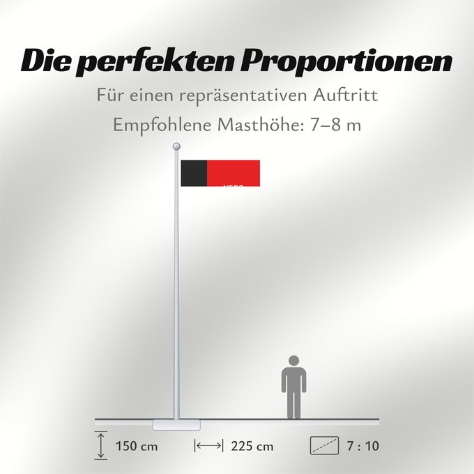 Proportionen der Flagge: Paraíba