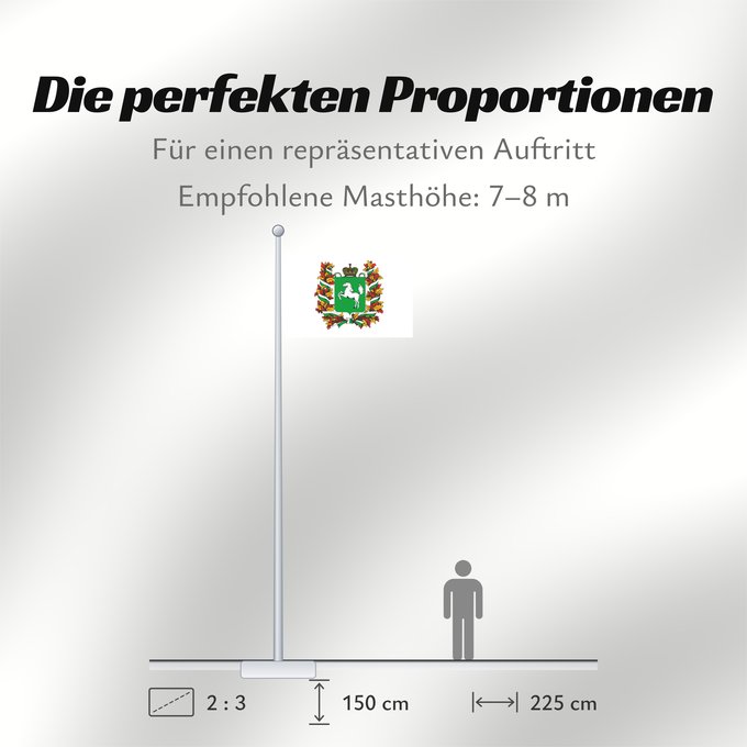 Proportionen der Flagge: Tomskaya oblast'