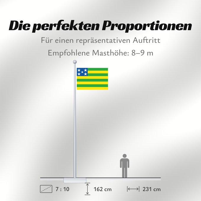 Proportionen der Flagge: Goiás