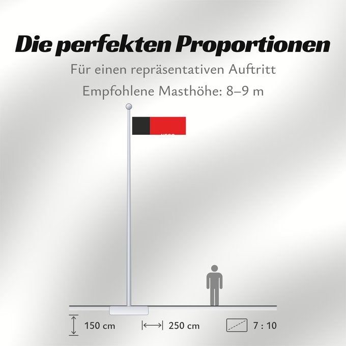 Proportionen der Flagge: Paraíba