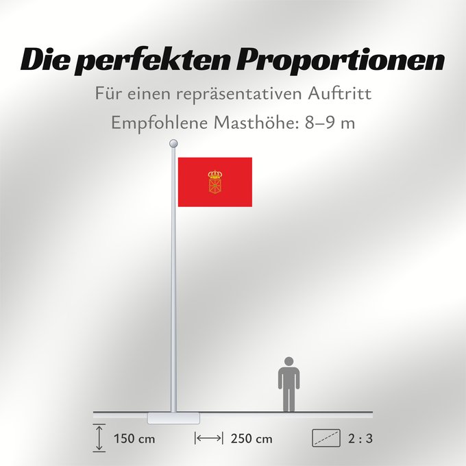 Proportionen der Flagge: Navarra	Navarre  Spain  Article 7.2. of the LORAFNA stipulates  The flag of Navarre is red	Communauté Forale de Navarre	Comunidad Foral de Navarra	Navarre	Nafarroako Foru Komunitatea bandera Nafarroako armarria