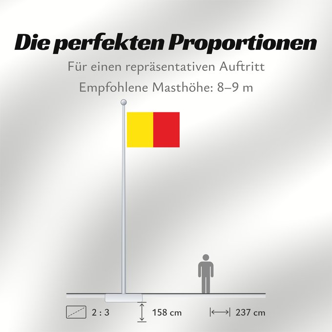 Proportionen der Flagge: Naples Province of Naples Province de Naples Provincia de Naples Provinz Naples Napoli