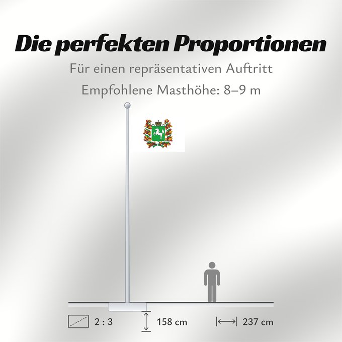 Proportionen der Flagge: Tomskaya oblast'
