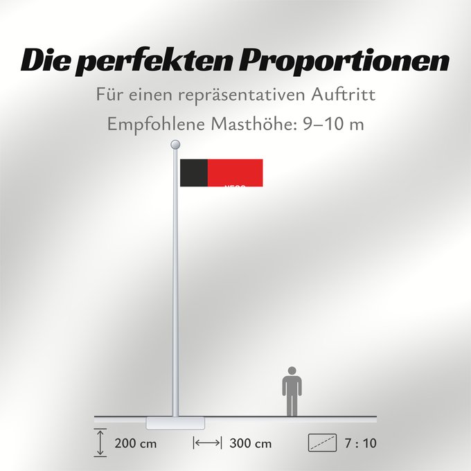 Proportionen der Flagge: Paraíba
