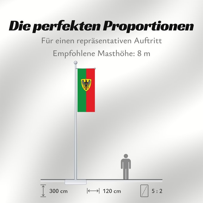 Proportionen der Flagge: Esslingen am Neckar (Region Stuttgart)