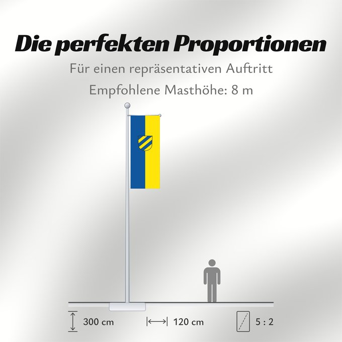 Proportionen der Flagge: Plochingen (Region Stuttgart)