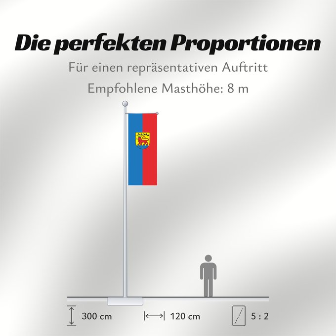Proportionen der Flagge: Vaihingen an der Enz (Region Stuttgart)