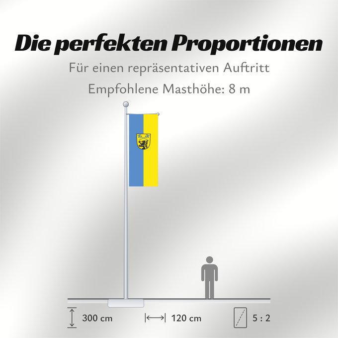 Proportionen der Flagge: Anzing (Ebersberger Grünes Land)