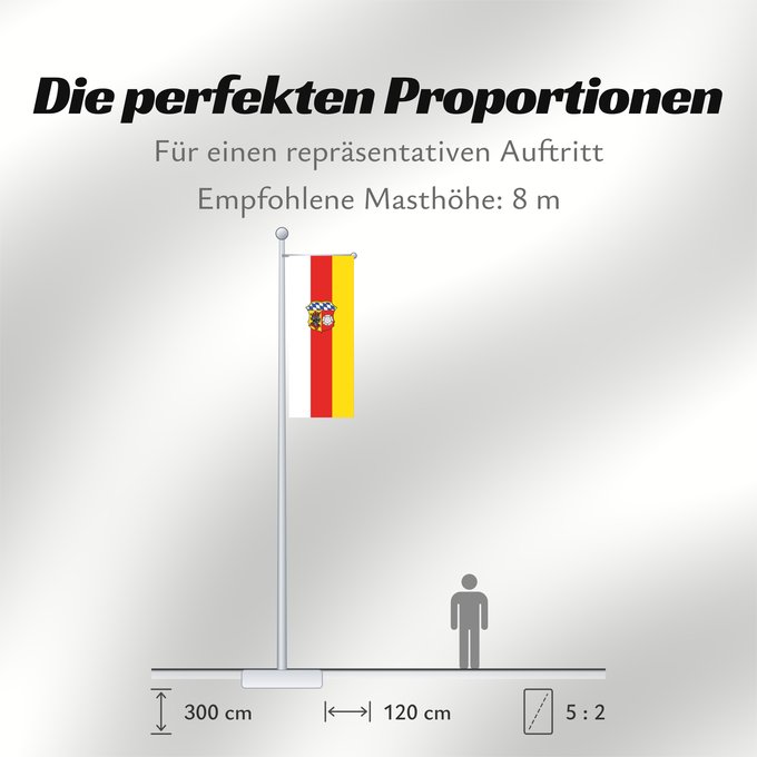 Proportionen der Flagge: Freising (Kreis)