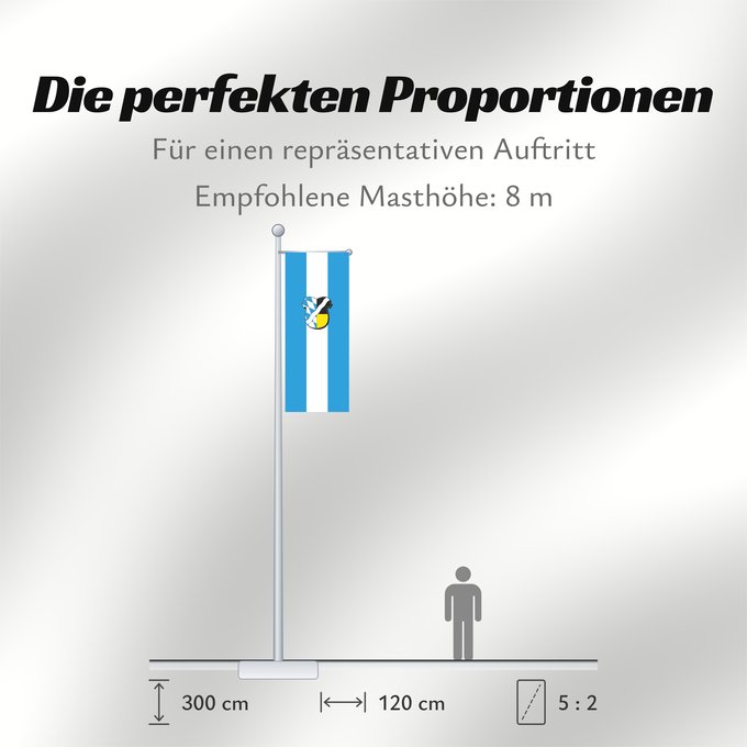 Proportionen der Flagge: München (Kreis)