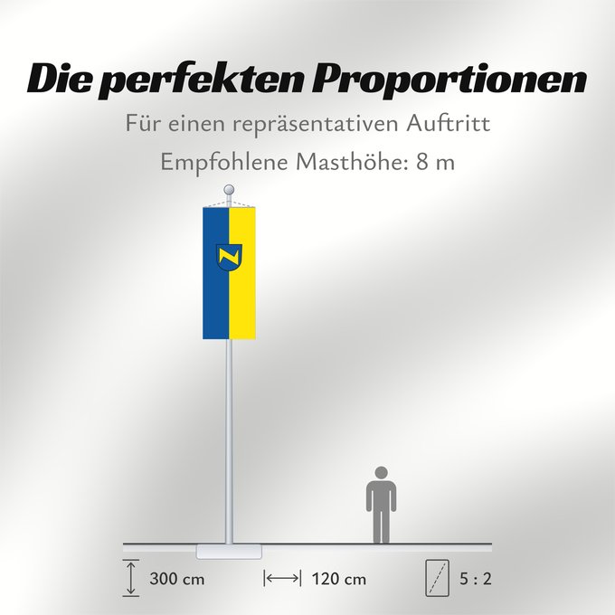 Proportionen der Flagge: Neckartenzlingen (Region Stuttgart)