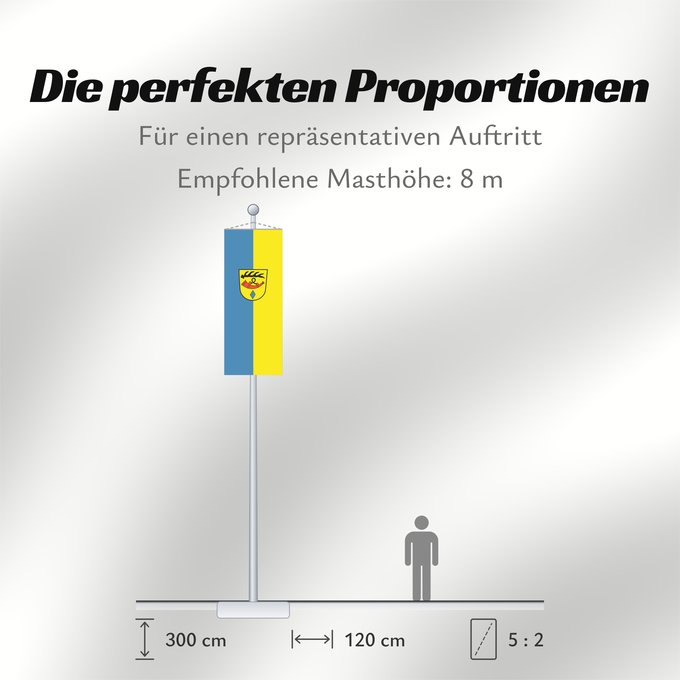 Proportionen der Flagge: Nürtingen (Region Stuttgart)