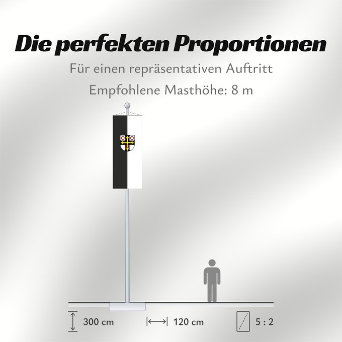 Proportionen der Flagge: Neckarsulm (Nördliches Baden-Württemberg)