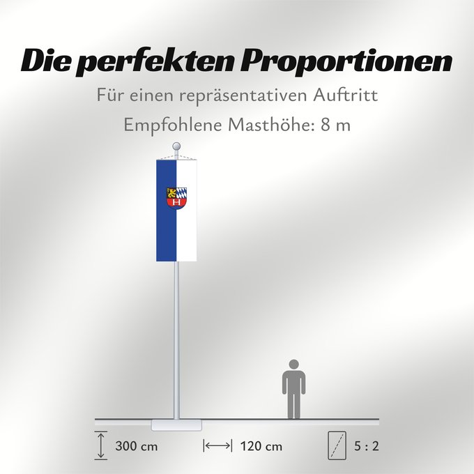 Proportionen der Flagge: Heddesheim (Nördliches Baden-Württemberg)