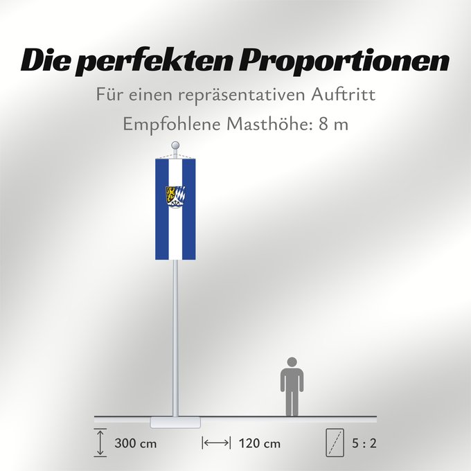 Proportionen der Flagge: Meckesheim (Nördliches Baden-Württemberg)