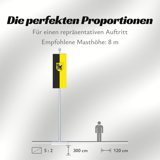Proportionen der Flagge: Freudenstadt (Kreis)