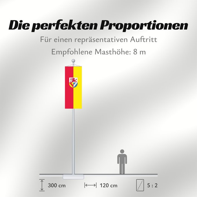 Proportionen der Flagge: Lörrach (Kreis)