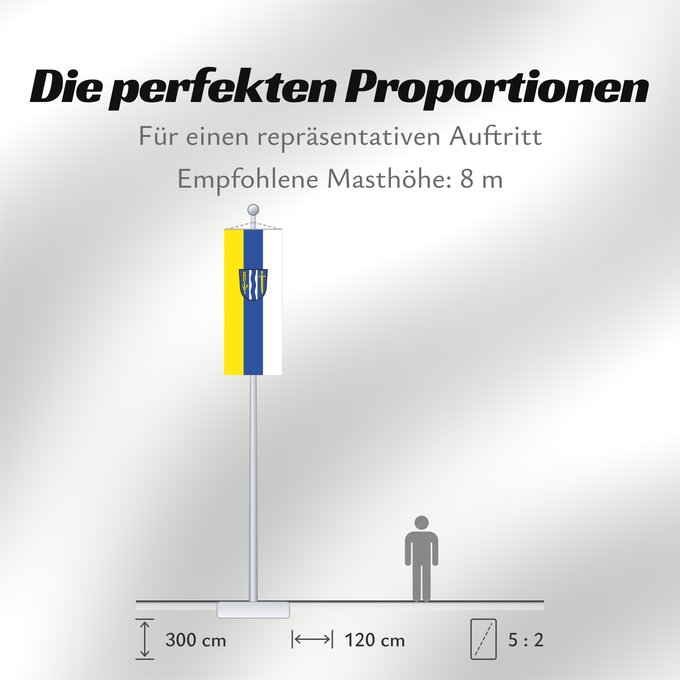 Proportionen der Flagge: Aresing (Oberbayerns Städte)