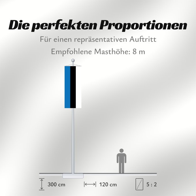 Proportionen der Flagge: Estonia	L Estonie	Estland	Estone	Estónia	Estonii	Сцяг Эстоніі	Национално знаме на Естония	Estonská vlajka	Σημαία της Εσθονίας	Eesti lipp	پرچم کشور استونی	Viron	HEastóine	Észtország	エストニアの国旗	ესტონეთის დროშა	Estijos	Igaunijas	Знаме на Естонија	Estoniei	Флаг