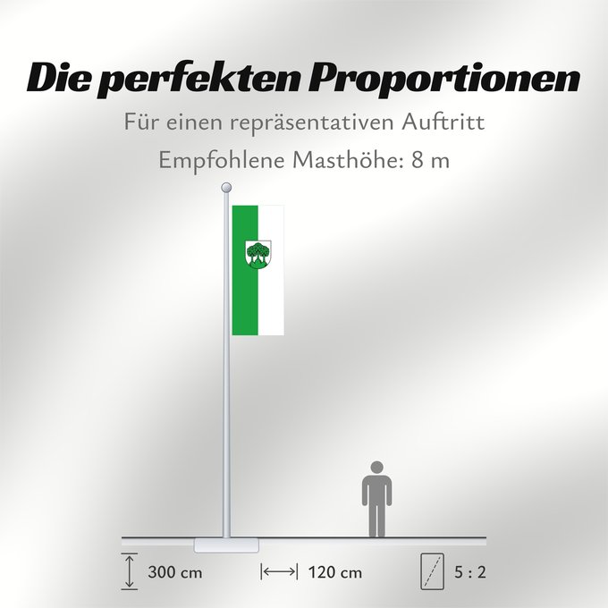 Proportionen der Flagge: Hochdorf (Region Stuttgart)