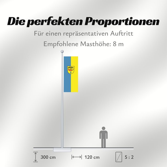 Proportionen der Flagge: Nürtingen (Region Stuttgart)