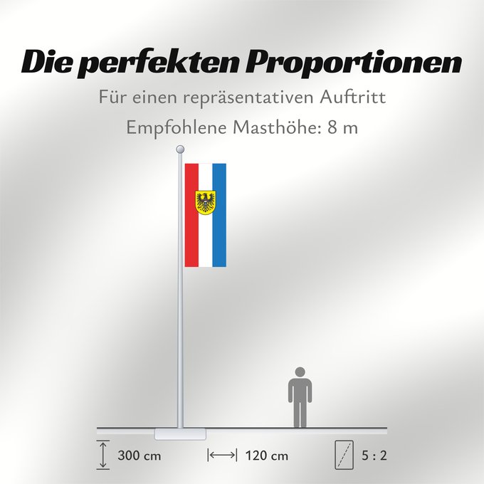 Proportionen der Flagge: Heilbronn (Nördliches Baden-Württemberg)