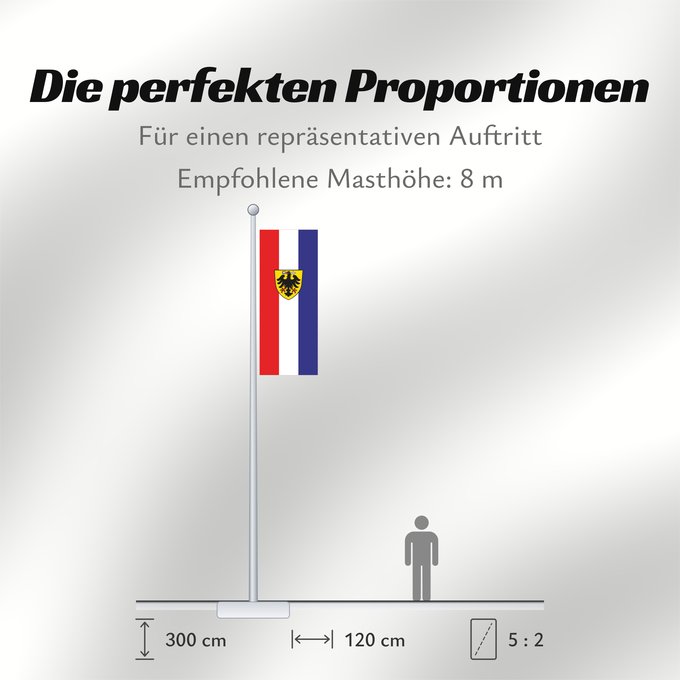 Proportionen der Flagge: Bad Wimpfen (Nördliches Baden-Württemberg)
