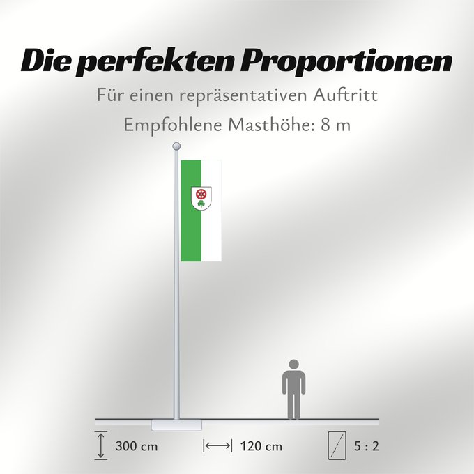 Proportionen der Flagge: Cleebronn (Nördliches Baden-Württemberg)