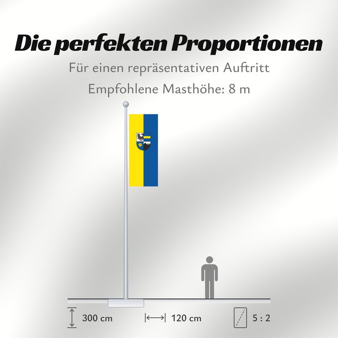 Proportionen der Flagge: Freudenberg (Nördliches Baden-Württemberg)