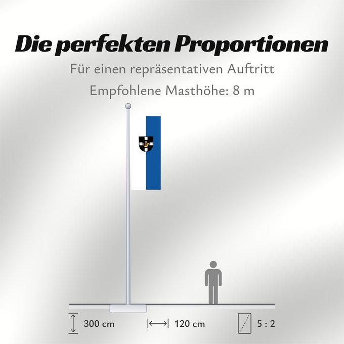 Proportionen der Flagge: Hambrücken (Nördliches Baden-Württemberg)