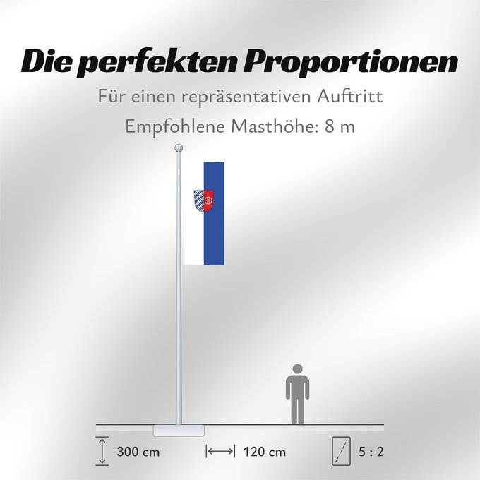 Proportionen der Flagge: Neckar-Odenwald-Kreis (Kreis)