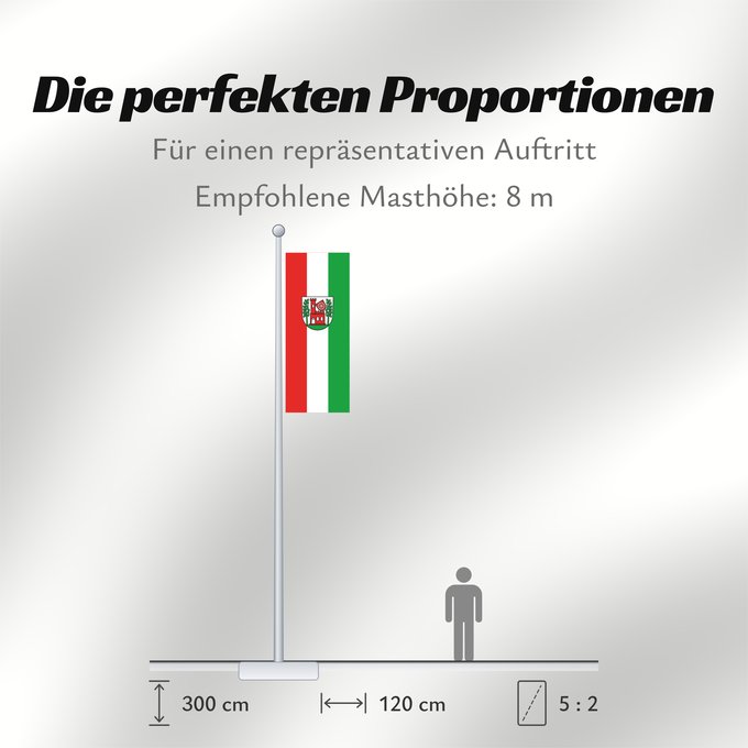 Proportionen der Flagge: Walldürn (Nördliches Baden-Württemberg)