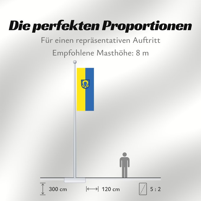 Proportionen der Flagge: Wimsheim (Nördlicher Schwarzwald)