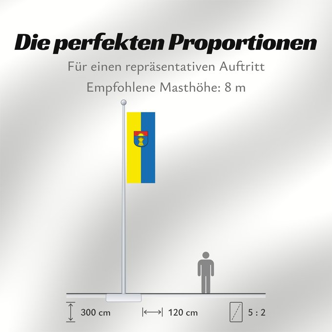 Proportionen der Flagge: Binzen (Südlicher Schwarzwald)