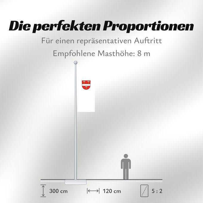 Proportionen der Flagge: Schönenberg (Südlicher Schwarzwald)